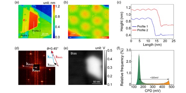 Unraveling the Interfacial Properties of TwistedSingle-Crystal Au(111)/MoS2 Heterostructures: A Pathwayto Robust Superlubricity